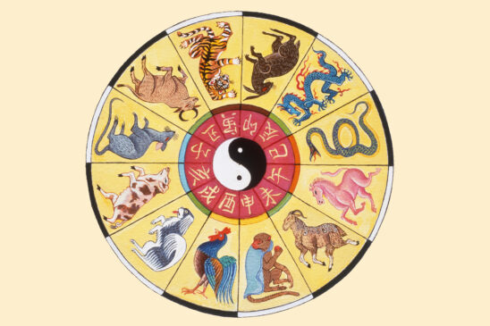 Exploring the Chinese Zodiac Elements: Unveiling the Significance for ...